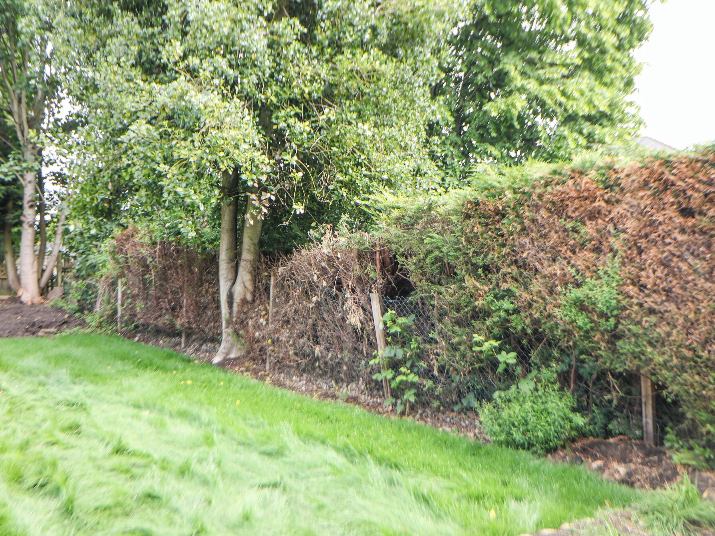 Khuôn viên nơi lưu trú