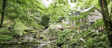 Cottage | Property grounds