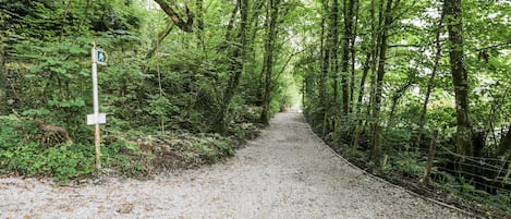 A gravel path in a forested area with a signpost on the left.