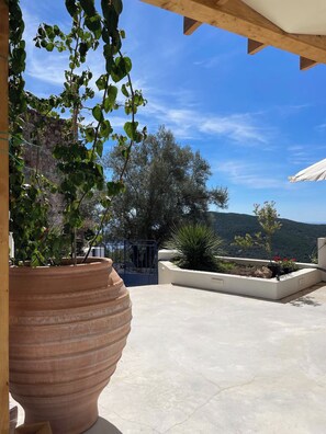 House | Terrace/patio