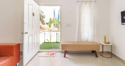 Aira Luxe by Red Olivebyg Brewskiwifi