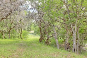 Interior - 10 Mi to Garner State Park: Concan Home w/ Patio (Concan)