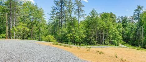 A gravel road curving through a forested area with a clear sky.