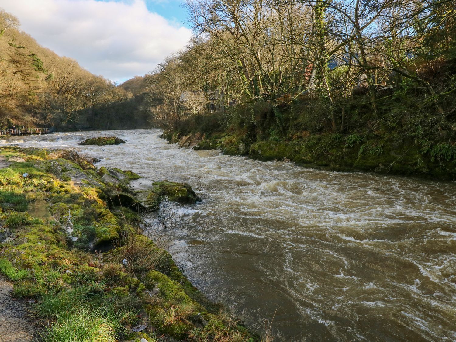 A river flowing through a forested area with a rocky riverbank and a path alongside.