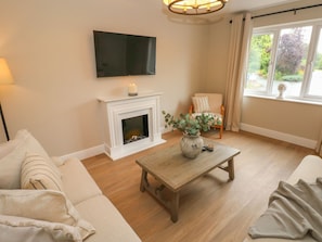 Fireplace - Hafan Y Gof (Newcastle Emlyn)