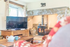 Smart TV y chimenea 