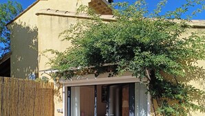 A building with a yellow exterior, a wooden fence, and a small tree in front. - Large studio with outdoor jacuzzi  (Lagnes)