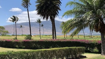 Condo, 2 Bedrooms | Property grounds