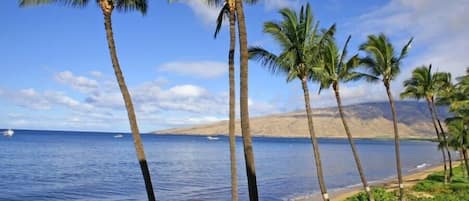 Condo, 2 habitaciones | Playa | Playa en los alrededores