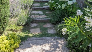 Un chemin de pierres mène à un bâtiment rustique aux volets en bois, entouré d’une végétation luxuriante et de plantes en fleurs.