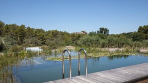 Une terrasse en bois mène à une piscine aux eaux cristallines, entourée d’une végétation luxuriante et d’arbres.