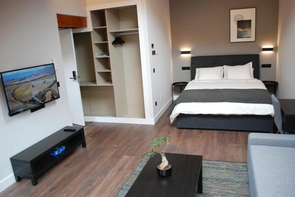 A hotel room with a bed, bedside tables, a TV, a wardrobe, and a small potted plant. - Altar Suites Caño Badillo by gaiarooms (León)