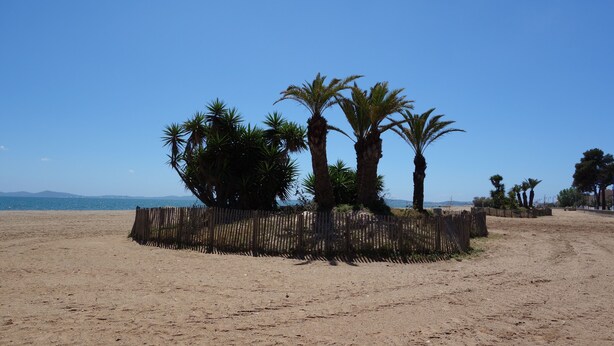 A sandy beach with palm trees and a wooden fence. - Furnished 3-star house 300 metres from the sea, 84 m², 3 bedrooms (Hyères)