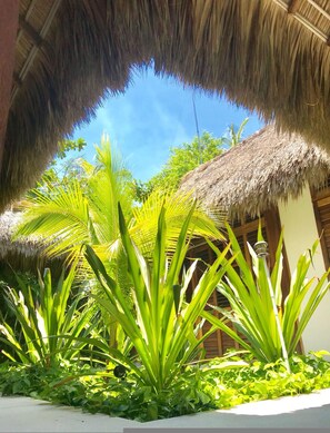 Villa, Accessible | 6 bedrooms, Internet - Casa Rhino Puerto Escondido Oaxaca Mexico (Santa María Colotepec)
