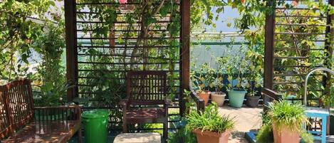 Un patio cubierto con mobiliario de madera, plantas en macetas y una pérgola con plantas trepadoras.