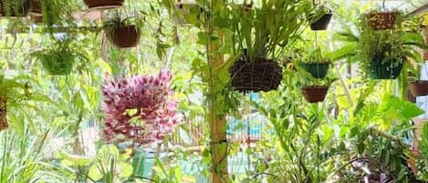 Daily buffet breakfast (BRL 40 per person)