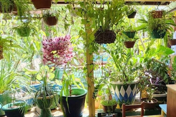 Daily buffet breakfast (BRL 40 per person)