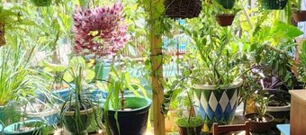 Mandala Dreams Pousada