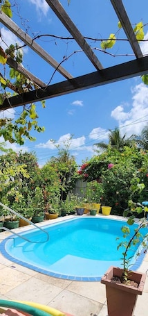 Una piscina al aire libre, sombrillas, sillones reclinables de piscina