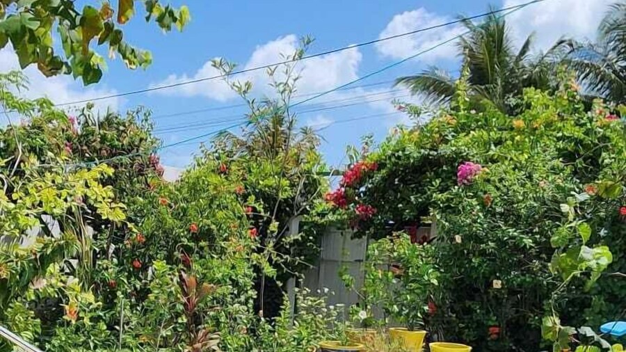 Mandala Dreams Pousada