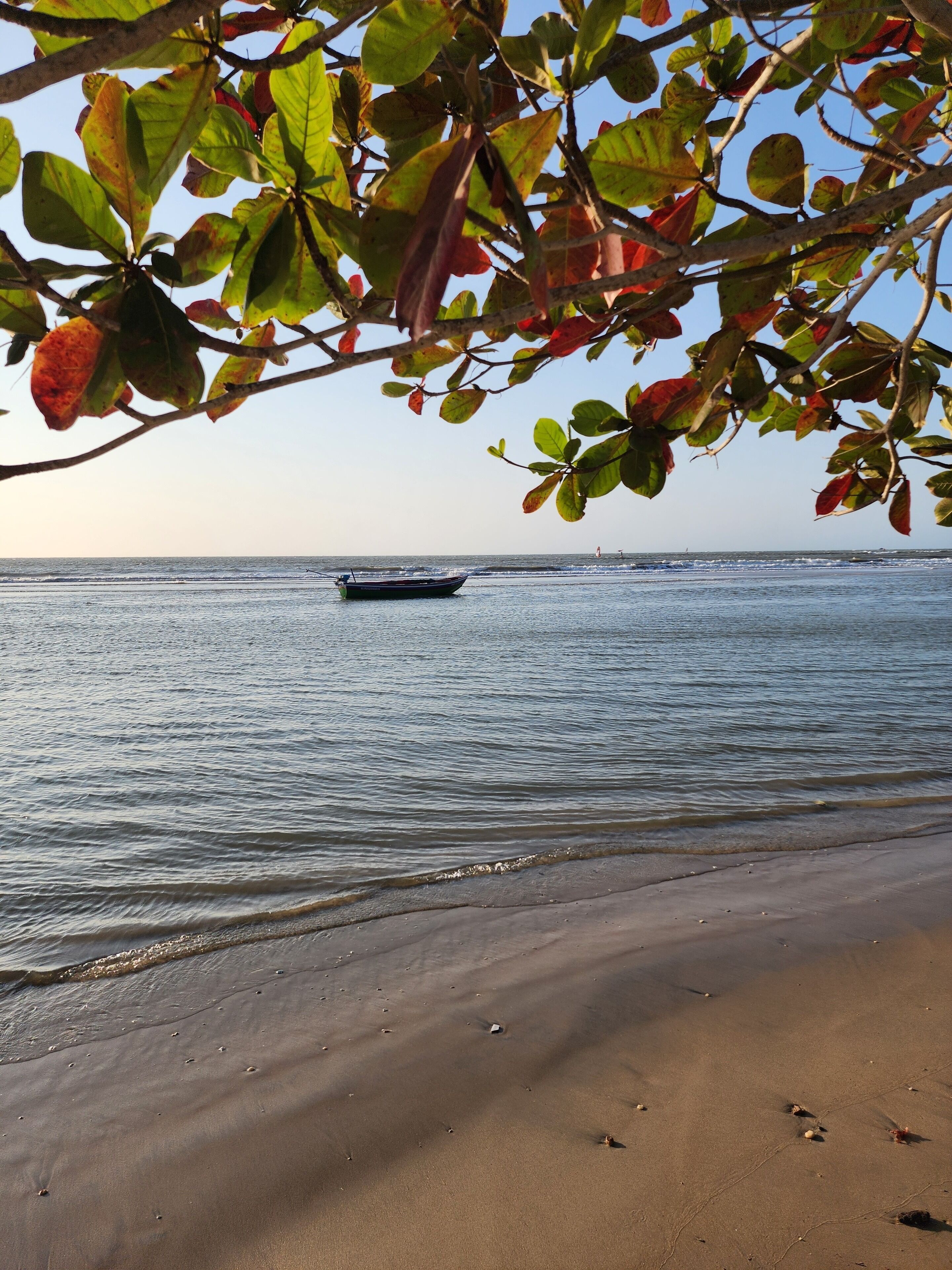 Vista a la playa o al mar