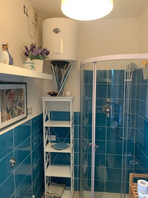 Regadera, secadora de cabello, bidet, toallas 