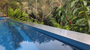 A swimming pool with clear water reflecting surrounding trees and foliage.