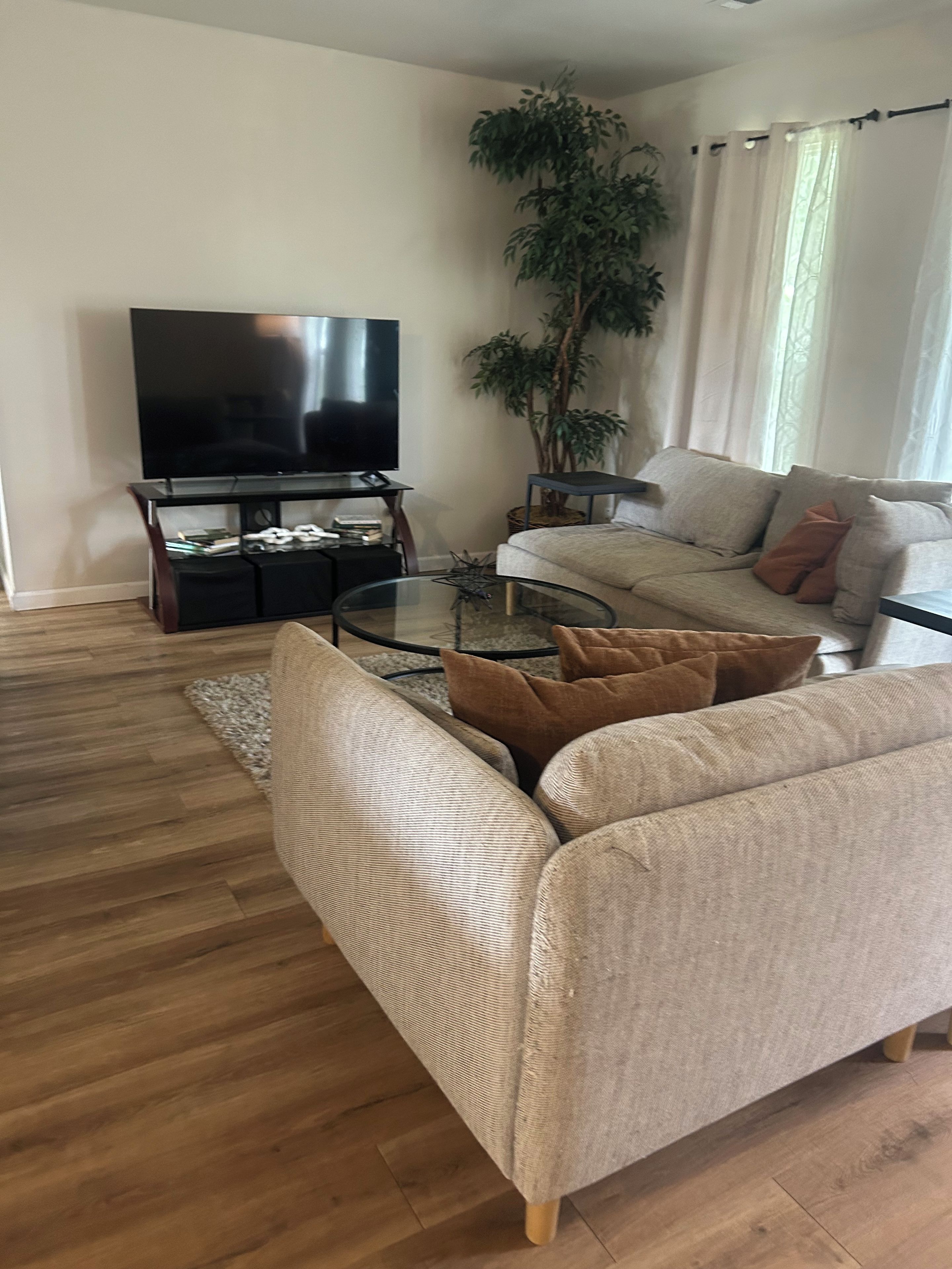 A modern living room with a flat-screen TV, a glass coffee table, a sofa, and a large potted plant.