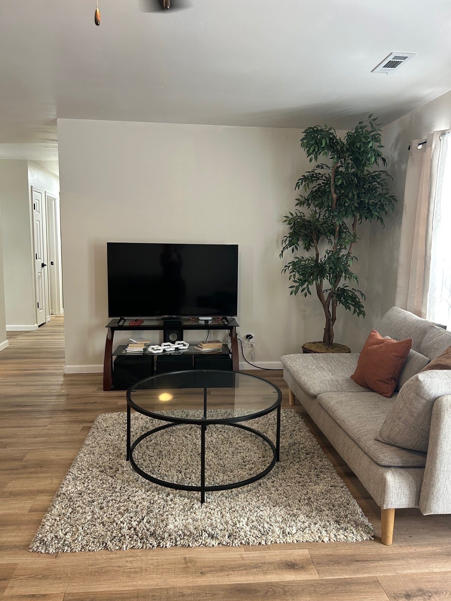 A living room with a flat-screen TV on a stand, a round coffee table, a sofa with cushions, a potted plant, and a carpeted floor.