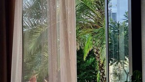 A room with a view of a lush garden, including a hammock and various plants. - Dachis Villa (Batumi)