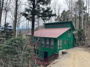 Exterior - Treetops! Newly Remodeled Ski Valley Cabin (Taos Ski Valley)