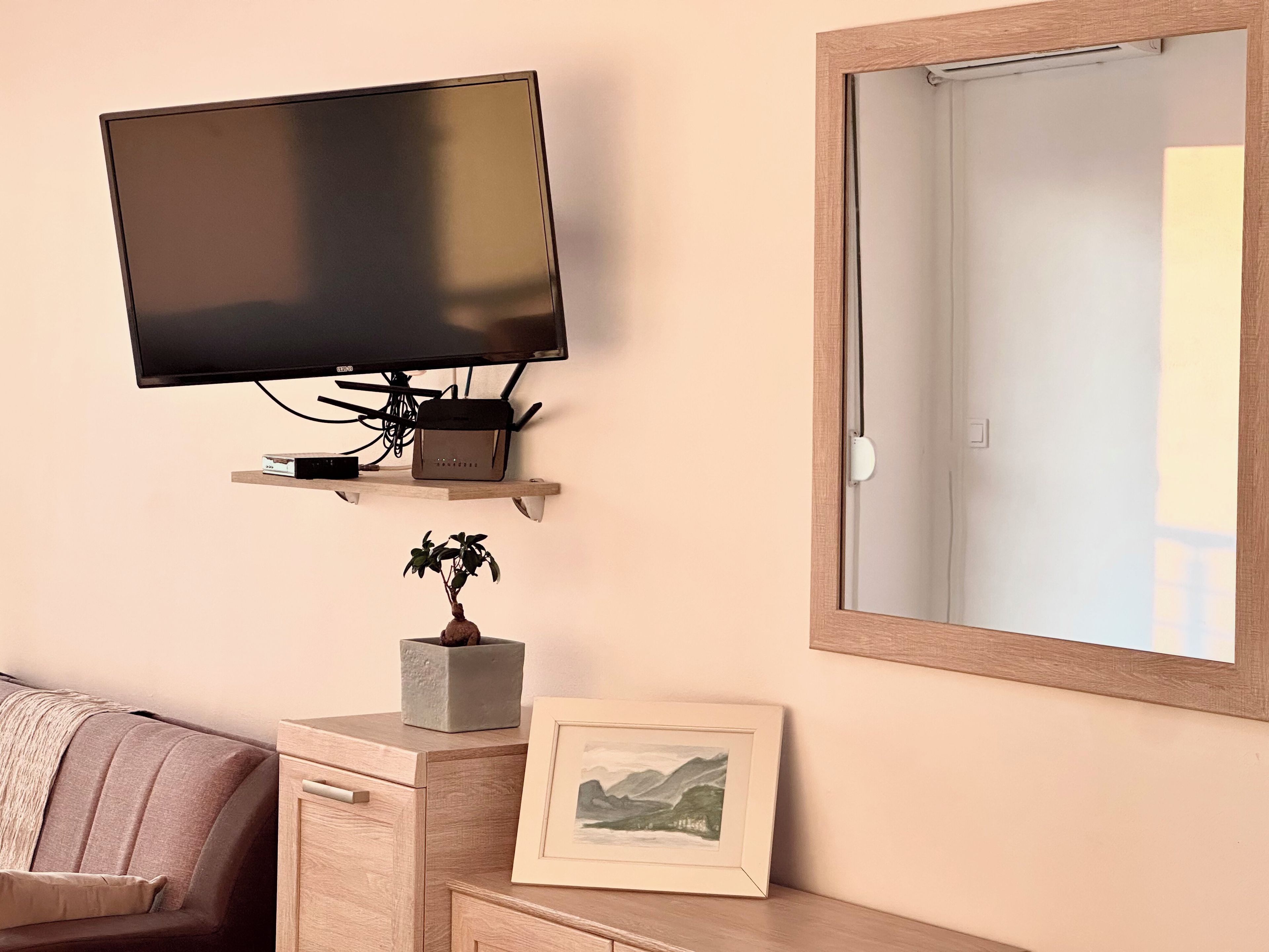 A television mounted on a wall, a small plant on a cabinet, a framed picture, and a mirror.