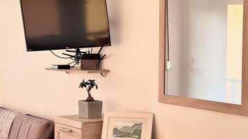 A television mounted on a wall, a small plant on a cabinet, a framed picture, and a mirror.