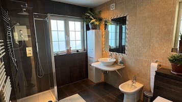 Hair dryer, towels, toilet paper