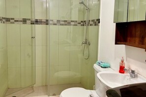 Shower - Suit in downtown Quito (Quito)