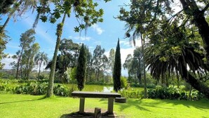 A park with a stone bench surrounded by lush greenery and tall trees.