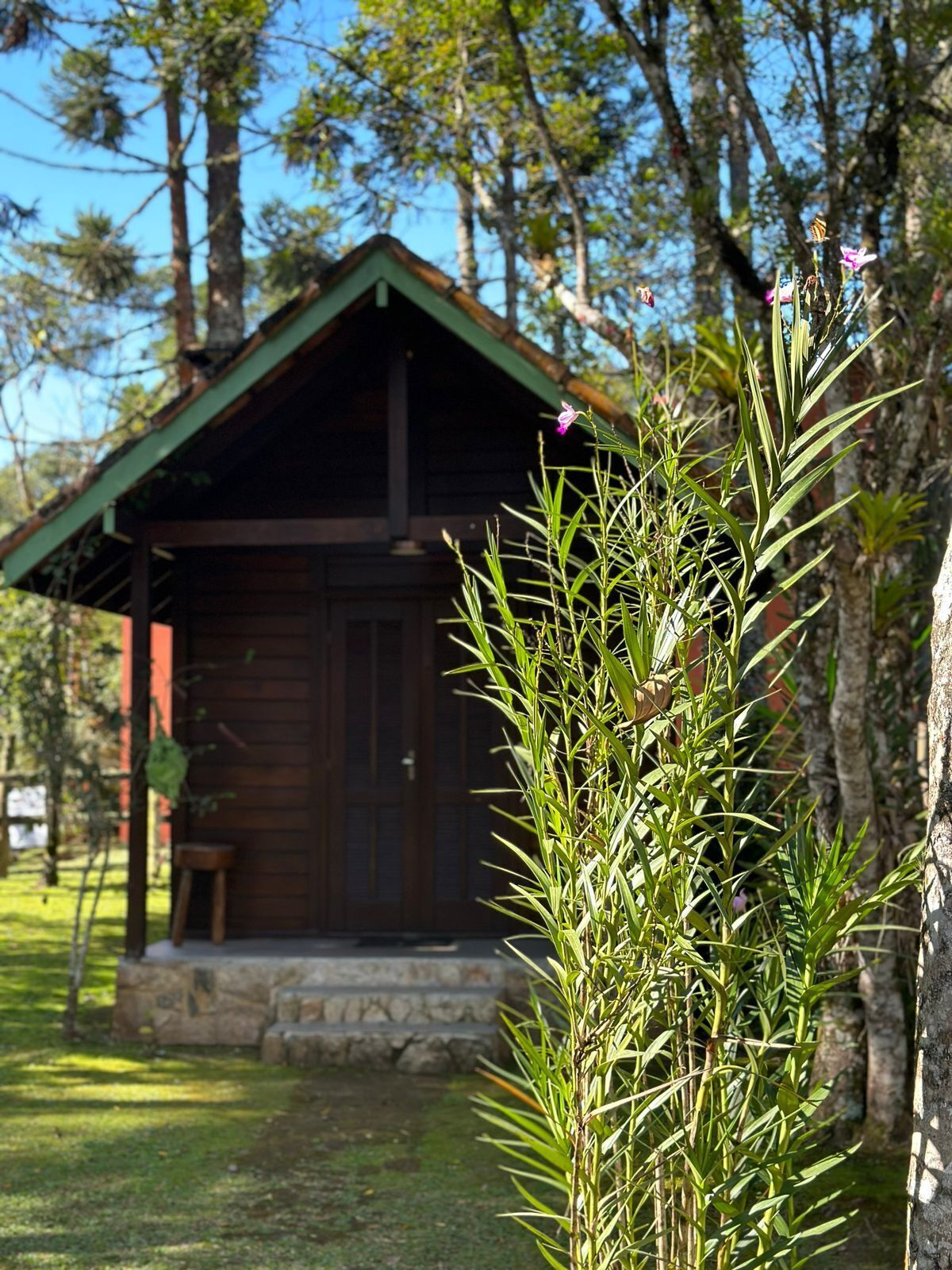 A wooden cabin with a sloped roof, surrounded by lush greenery and trees.