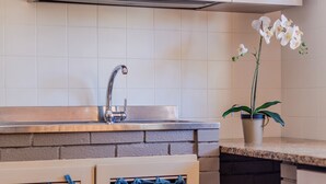 Una cocina con un lavamanos, armarios y una orquídea en maceta.
