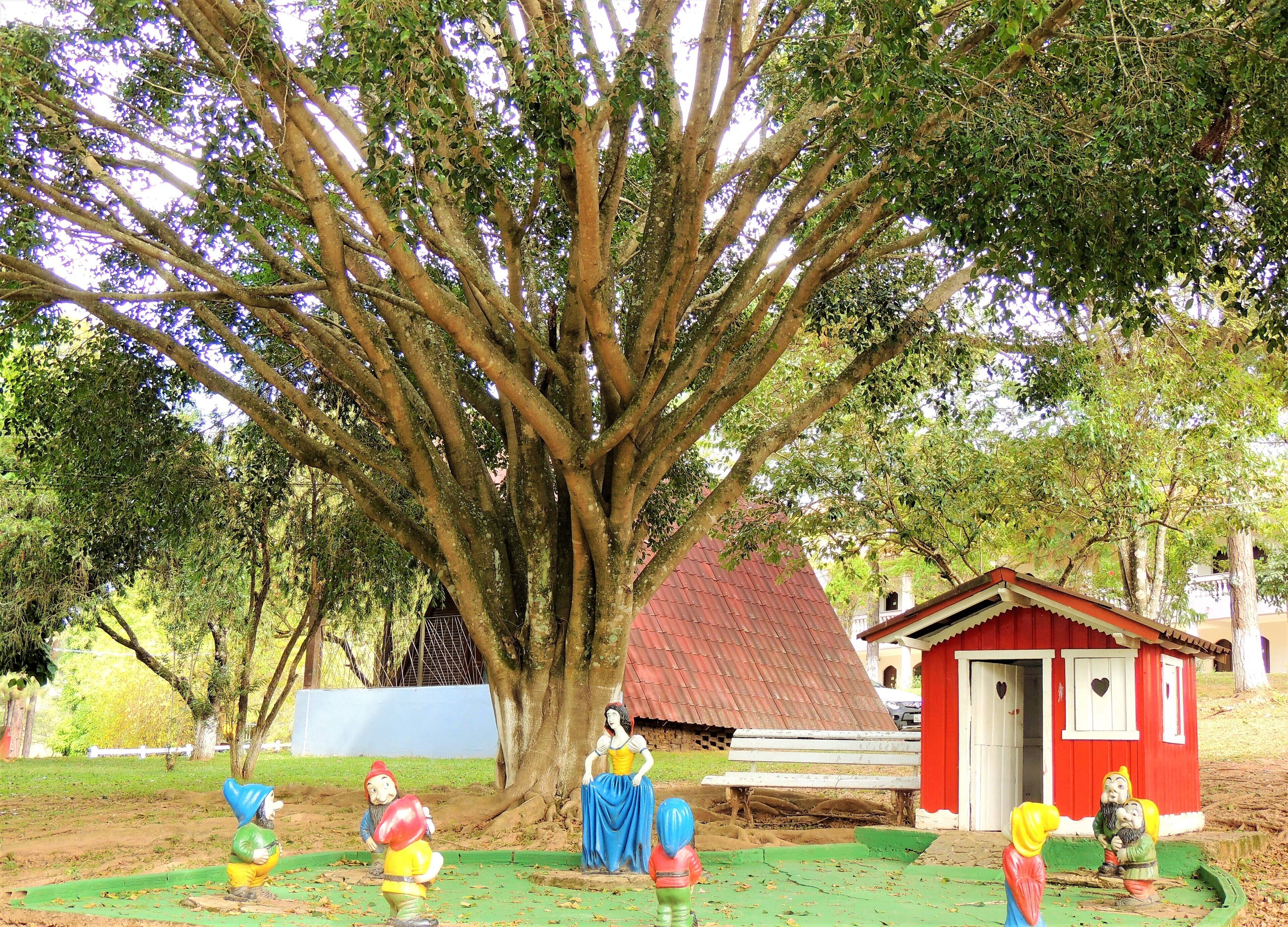 Área da propriedade