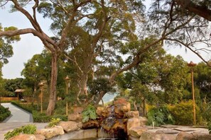 Terrein van de accommodatie