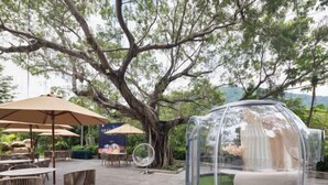 An outdoor seating area with tables and chairs, surrounded by trees. - L.V.BAY (Shenzhen)