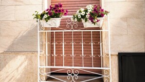 Une fenêtre ornée d’une grille en métal et de deux jardinières fleuries.
