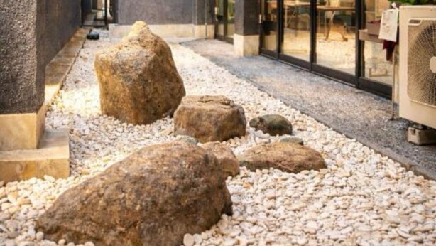 Fachada de un edificio con un camino de grava, rocas grandes y una entrada con puerta de vidrio.