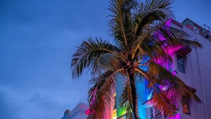 A brightly lit hotel with a neon sign, palm trees, and a street in the foreground.
