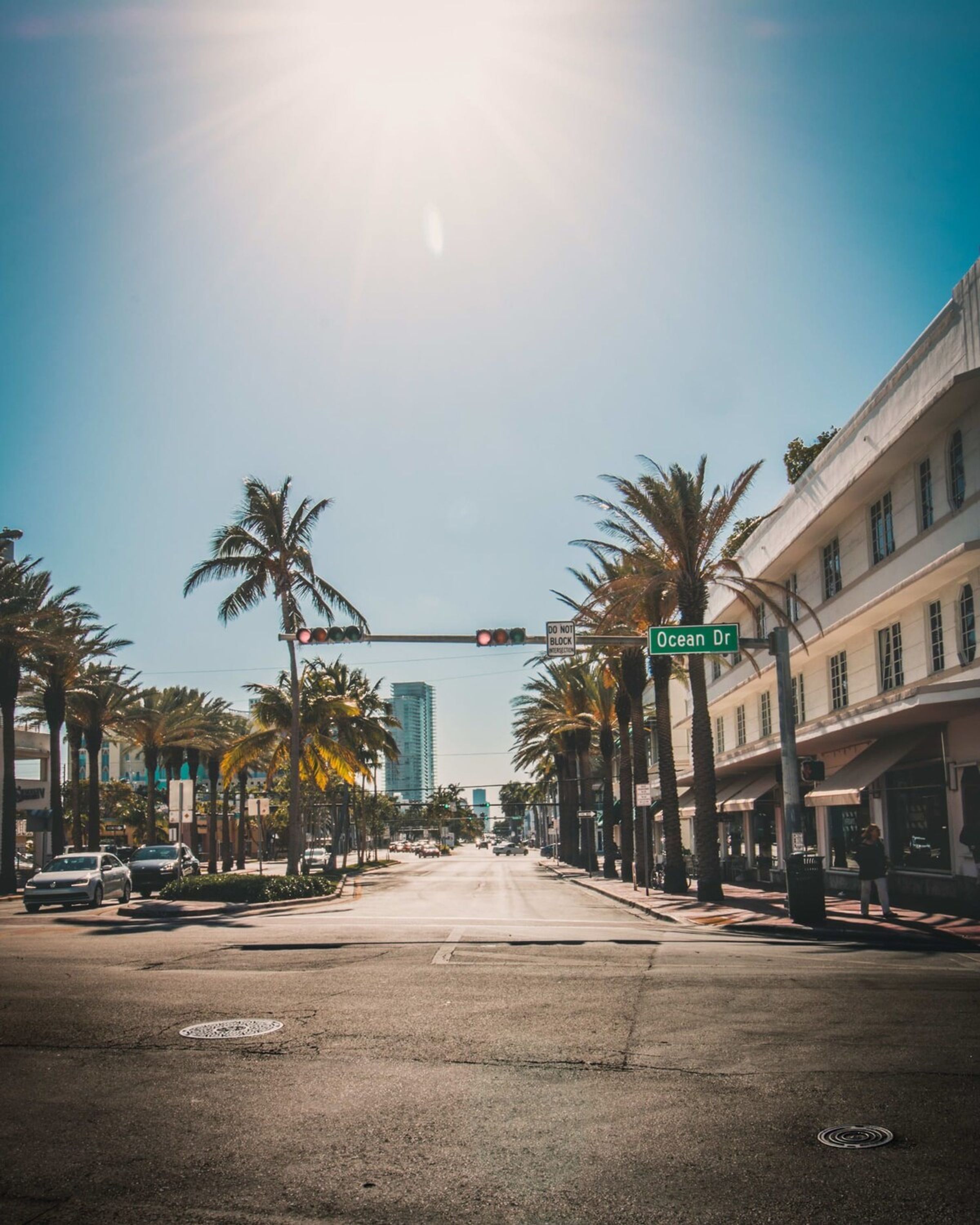 A street view with palm trees, a traffic light, and buildings.