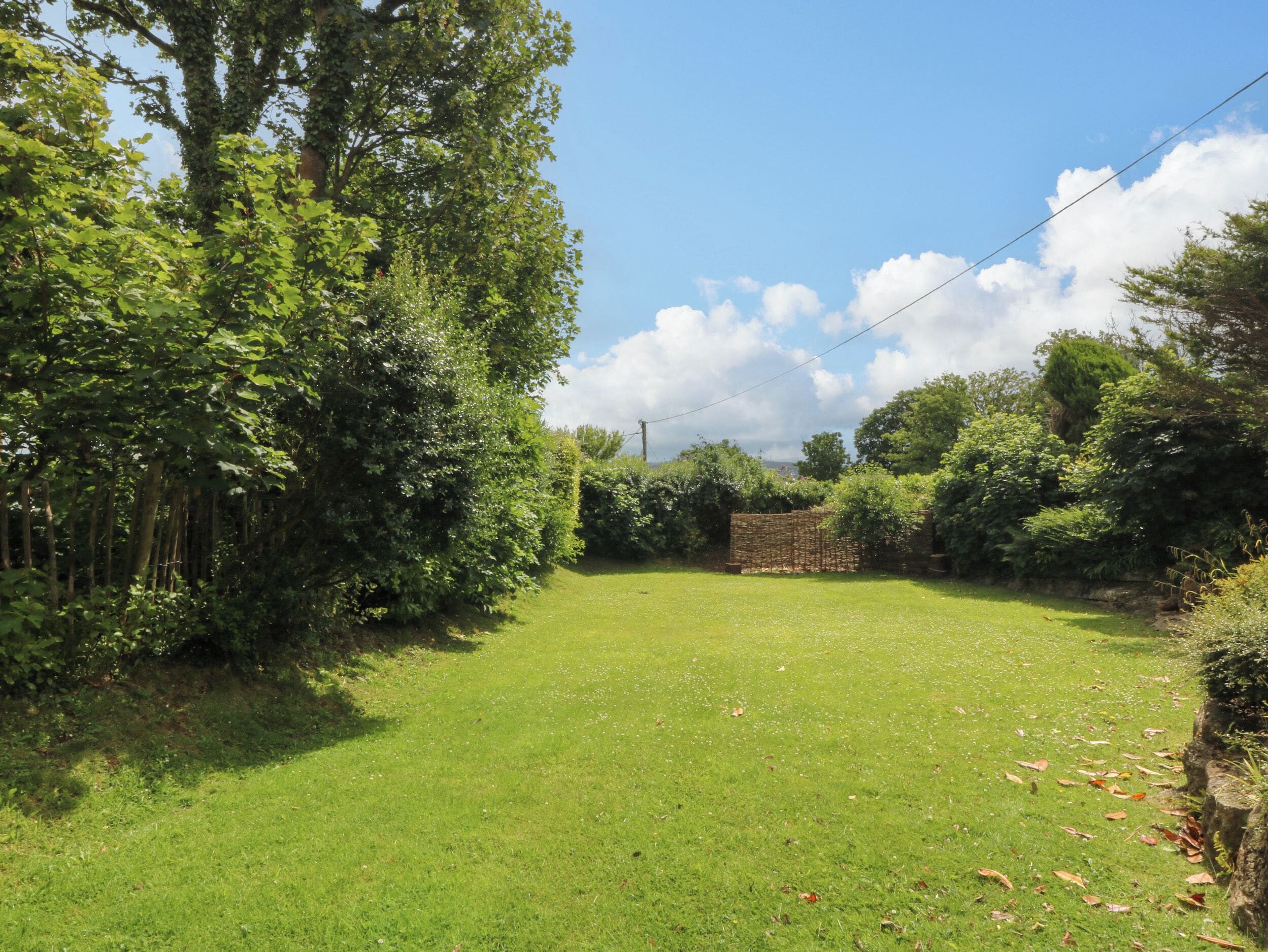 A grassy yard with a stone wall and dense foliage.