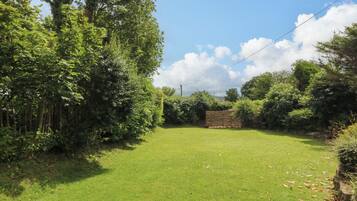 A grassy yard with a stone wall and dense foliage.
