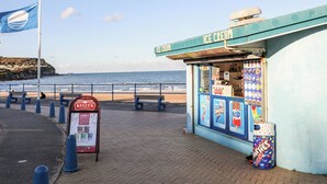 A seaside ice cream shop with a signboard, a beach in the background, and a flag.