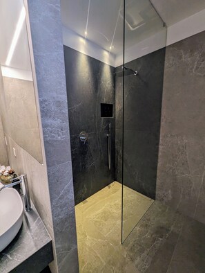 Shower, hair dryer, bidet, towels