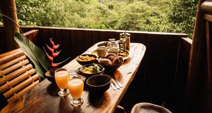 Toucan Lodge | Amazon Rainforest Retreat